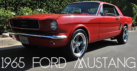 1979911-copy-copy (1) copy