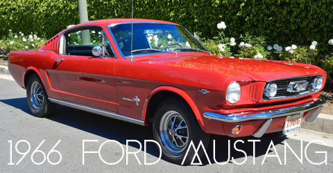 1979911-copy-copy22 (1) copy