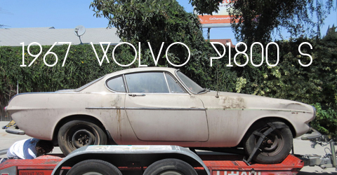 1979911-copy-copy22-1-copy3-copy-copy-copy2-copy-Recovered-Recovered12 copy copy