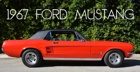 1979911-copy-copy22-1-copy3-copy-copy-copy2-copy-Recovered-Recovered12 copy copy