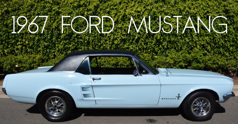 1979911-copy-copy22-1-copy3-copy-copy-copy2-copy-recovered-recovered12-copy-copy