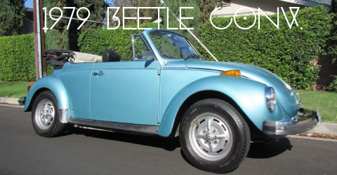 1979911-copy-copy22-1-copy3-copy-copy-copy2-copy-recovered-recovered12-copy-copy