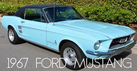 1979911-copy-copy22-1-copy3-copy-copy-copy2-copy-recovered-recovered12-copy-copy6-copy