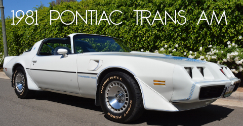 1979911-copy-copy22-1-copy3-copy-copy-copy2-copy-recovered-recovered12-copy-copy