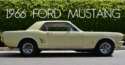 1979911-copy-copy22-1-copy3-copy-copy-copy2-copy-Recovered-Recovered12 copy