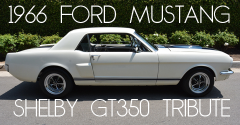 1979911-copy-copy22-1-copy3-copy-copy-copy2-copy-Recovered