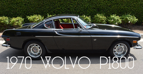 1979911-copy-copy22-1-copy3-copy-copy-copy2-copy copy